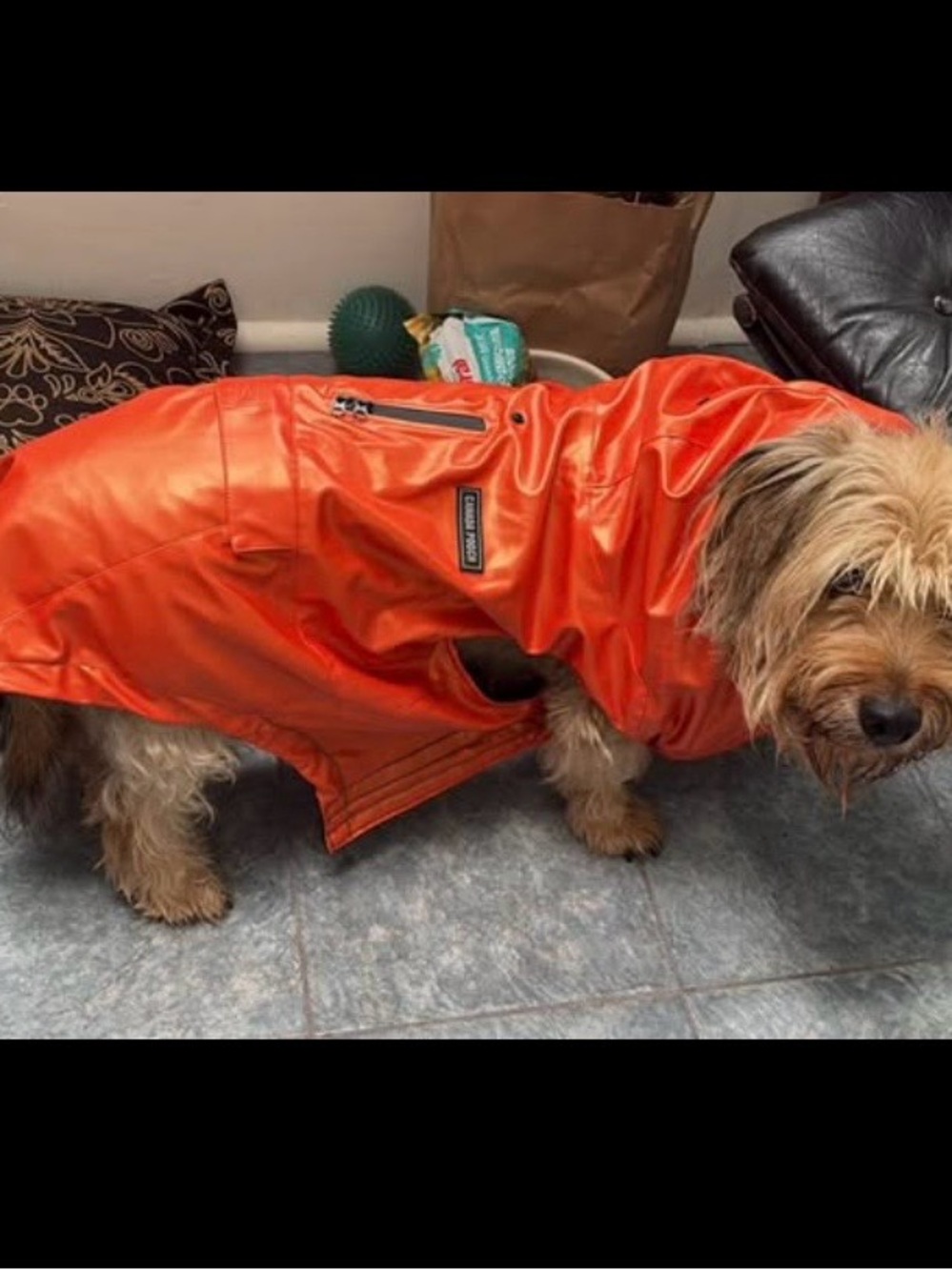 Durable Orange Dog Raincoat with Reflective Zip Pocket